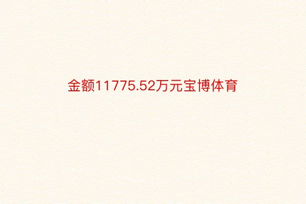 金额11775.52万元宝博体育