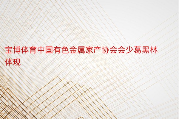 宝博体育中国有色金属家产协会会少葛黑林体现