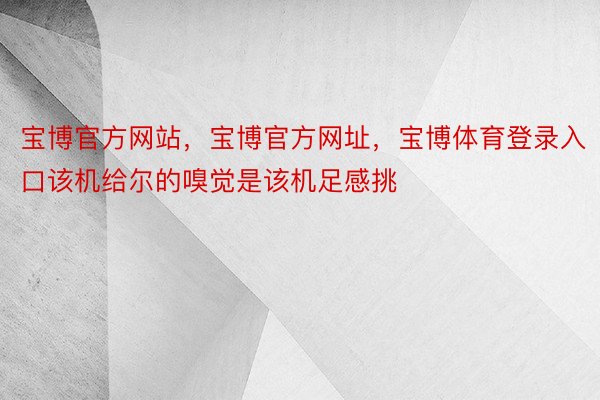 宝博官方网站，宝博官方网址，宝博体育登录入口该机给尔的嗅觉是该机足感挑